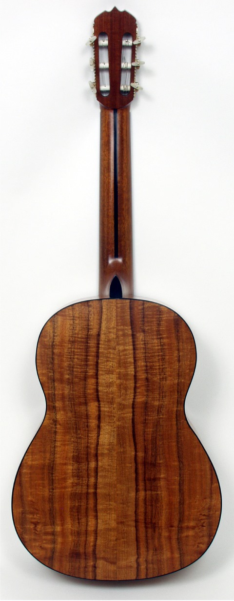 Keith Adams Guitar - Back